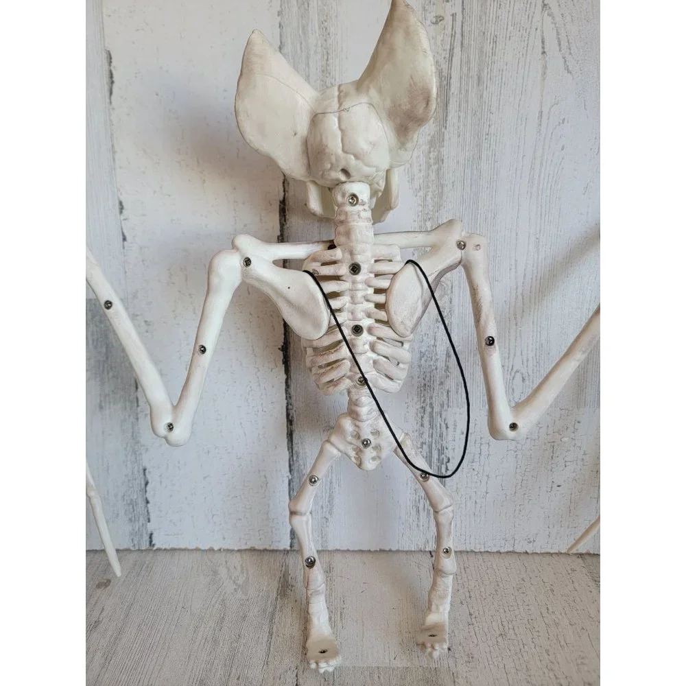 Crazy Bones skeleton vampire bat hanging Halloween prop decor
